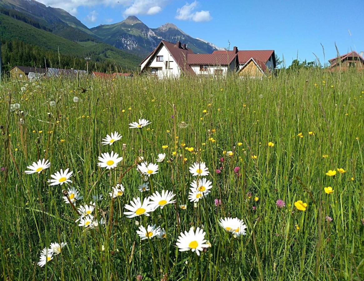 Winter & Summer Resort Zdiar Bagian luar foto